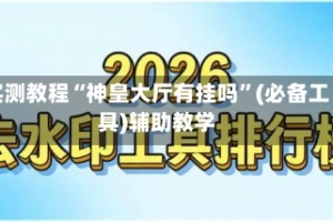 实测教程“神皇大厅有挂吗”(必备工具)辅助教学