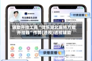 辅助开挂工具“微乐湖北麻将万能开挂器”作弊(透视)透视辅助