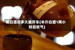 喝白酒后多久能开车(半斤白酒1两小时后吹气)