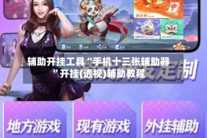 辅助开挂工具“手机十三张辅助器”开挂(透视)辅助教程