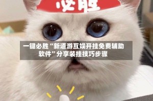 一键必胜“新道游互娱开挂免费辅助软件”分享装挂技巧步骤