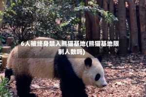 6人被终身禁入熊猫基地(熊猫基地限制人数吗)