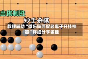 教程辅助“微乐陕西捉老麻子开挂神器”详细分享装挂