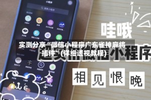 实测分享“微信小程序广东雀神麻将插件”(详细透视教程)