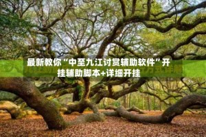 最新教你“中至九江讨赏辅助软件”开挂辅助脚本+详细开挂