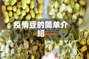 疫情豆的简单介绍