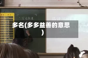 多名(多多益善的意思)