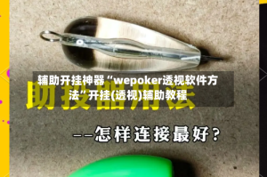 辅助开挂神器“wepoker透视软件方法”开挂(透视)辅助教程