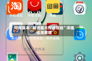 可用版本“新鸿狐大厅透视挂”详细透视教程