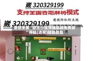 重磅来袭“微乐小程序辅助器免费版”开挂(透视)辅助教程