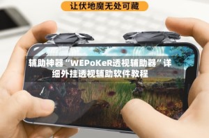 辅助神器“WEPoKeR透视辅助器”详细外挂透视辅助软件教程