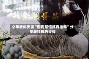 必学教你安装“四海茶馆贰有挂吗”分享装挂技巧步骤