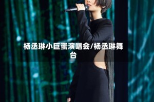 杨丞琳小巨蛋演唱会/杨丞琳舞台