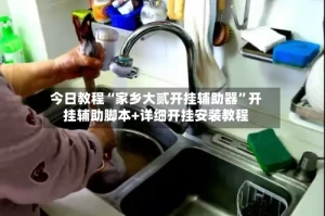今日教程“家乡大贰开挂辅助器”开挂辅助脚本+详细开挂安装教程