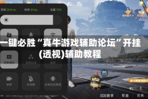 一键必胜“真牛游戏辅助论坛”开挂(透视)辅助教程