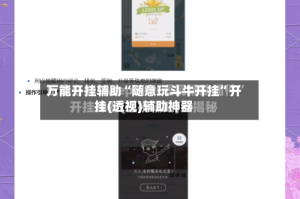 万能开挂辅助“随意玩斗牛开挂”开挂(透视)辅助神器