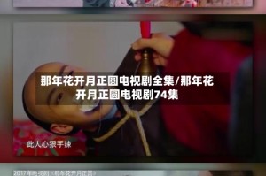 那年花开月正圆电视剧全集/那年花开月正圆电视剧74集