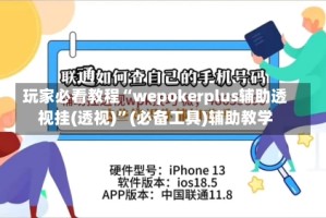 玩家必看教程“wepokerplus辅助透视挂(透视)”(必备工具)辅助教学