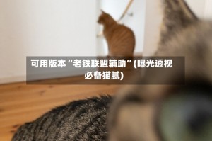 可用版本“老铁联盟辅助”(曝光透视必备猫腻)