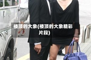 楼顶的大象(楼顶的大象精彩片段)