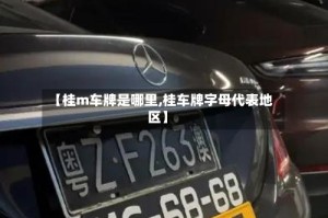 【桂m车牌是哪里,桂车牌字母代表地区】