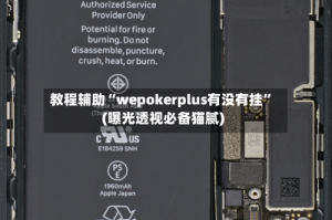 教程辅助“wepokerplus有没有挂”(曝光透视必备猫腻)