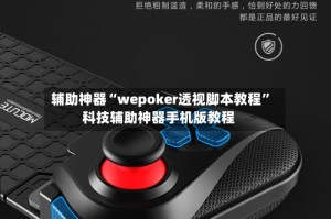 辅助神器“wepoker透视脚本教程”科技辅助神器手机版教程