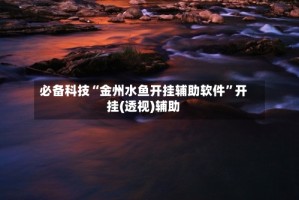 必备科技“金州水鱼开挂辅助软件”开挂(透视)辅助