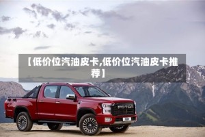 【低价位汽油皮卡,低价位汽油皮卡推荐】