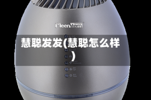 慧聪发发(慧聪怎么样)