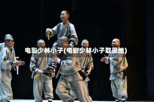电影少林小子(电影少林小子取景地)