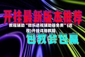 教程辅助“微乐透视辅助器免费”(透视)开挂详细教程