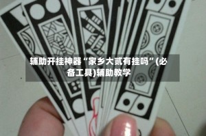 辅助开挂神器“家乡大贰有挂吗”(必备工具)辅助教学