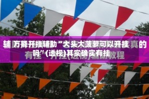 万能开挂辅助“大头大菠萝可以开挂吗”(透视)其实确实有挂