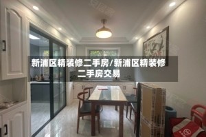 新浦区精装修二手房/新浦区精装修二手房交易