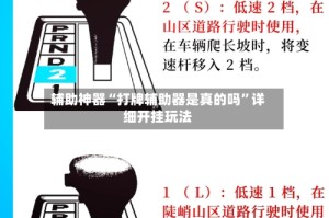 辅助神器“打牌辅助器是真的吗”详细开挂玩法