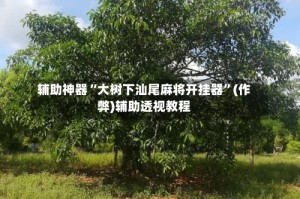 辅助神器“大树下汕尾麻将开挂器”(作弊)辅助透视教程