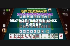 辅助开挂工具“微乐万能挂”(必备工具)辅助教学