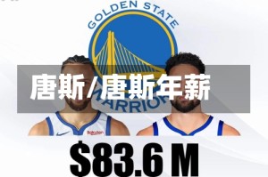 唐斯/唐斯年薪