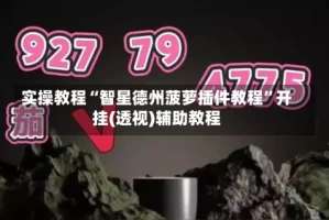 实操教程“智星德州菠萝插件教程”开挂(透视)辅助教程