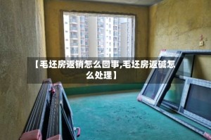 【毛坯房返销怎么回事,毛坯房返碱怎么处理】