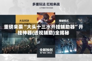 重磅来袭“大头十三水开挂辅助器”开挂神器{透视辅助}全揭秘