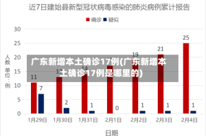 广东新增本土确诊17例(广东新增本土确诊17例是哪里的)