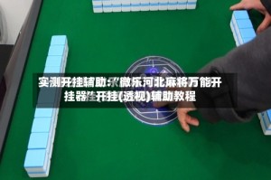 实测开挂辅助:“微乐河北麻将万能开挂器”开挂(透视)辅助教程