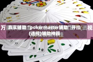 真实辅助“pokermaster辅助”开挂(透视)辅助神器