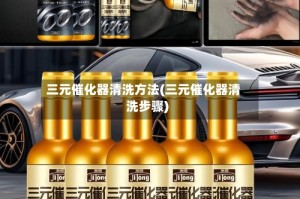 三元催化器清洗方法(三元催化器清洗步骤)