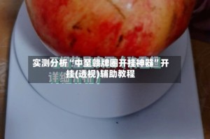 实测分析“中至赣牌圈开挂神器”开挂(透视)辅助教程