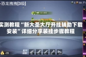 实测教程“新大圣大厅开挂辅助下载安装”详细分享装挂步骤教程