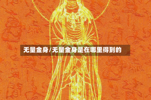 无量金身/无量金身是在哪里得到的