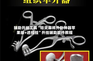 辅助开挂工具“哈灵麻将外卦神器苹果版+透视挂”开挂辅助软件教程